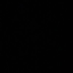 Meet your Posher, Nylah